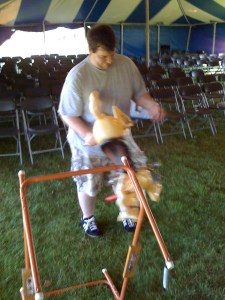 The beating of a helpless plastic horse