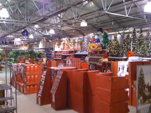 Christmas Trees & Palm Trees