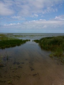 IMG_0147 This is where the unimproved road ended or continued, depending on your 4x4 worldview