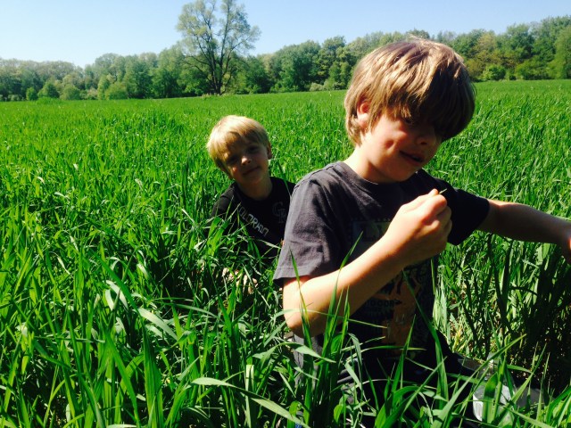 Be sure to check twice for ticks.